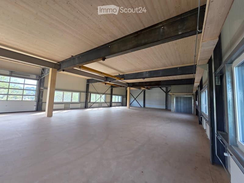 Empty room with concrete floor, wooden ceiling, metal beams, and large windows.