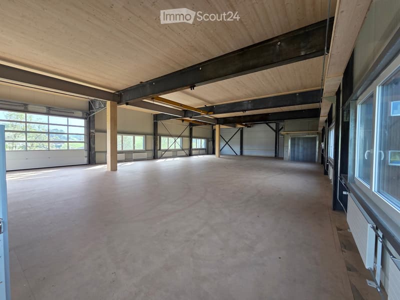 Empty room with concrete floor, wooden ceiling, large windows, and metal beams.