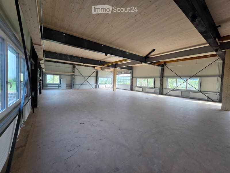 Empty room with concrete floor, wooden ceiling, large windows, and metal beams. No furniture or equipment.
