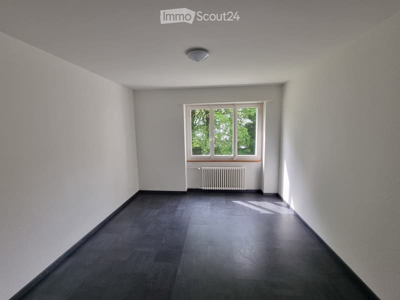 Unfurnished Room. Empty room with white walls, black flooring, and a window with a white radiator below.