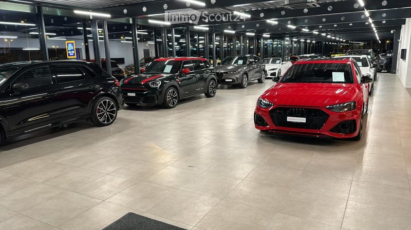 modern showroom, several cars, beige tiles, ceiling lights