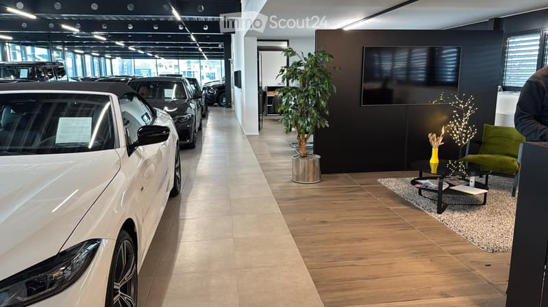 Parking cars, wooden flooring, carpet, TV, green plant in a pot, white car, gray coffee table with magazines, yellow candle in a glass vase, green armchair, gray couch
