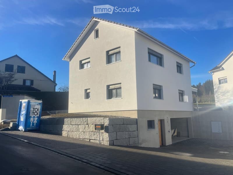 modern 2 story house, white paint, garage entrance, small stone wall, chimney