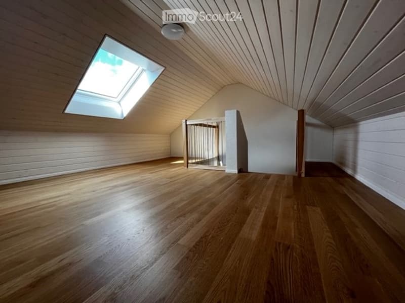 Hardwood floors, wooden ceiling, skylight window, ladder, white walls