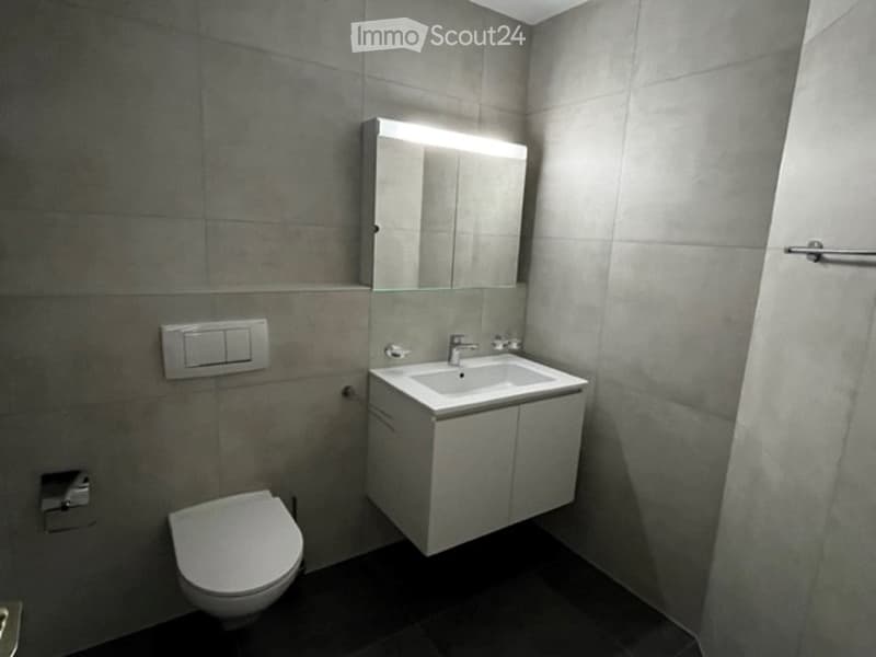 Bathroom with a white sink, a white toilet, a silver faucet, a white cabinet, and a large mirror