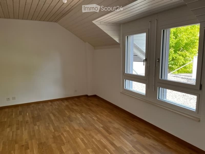 empty room, wooden floor, white walls, two windows, wooden ceiling