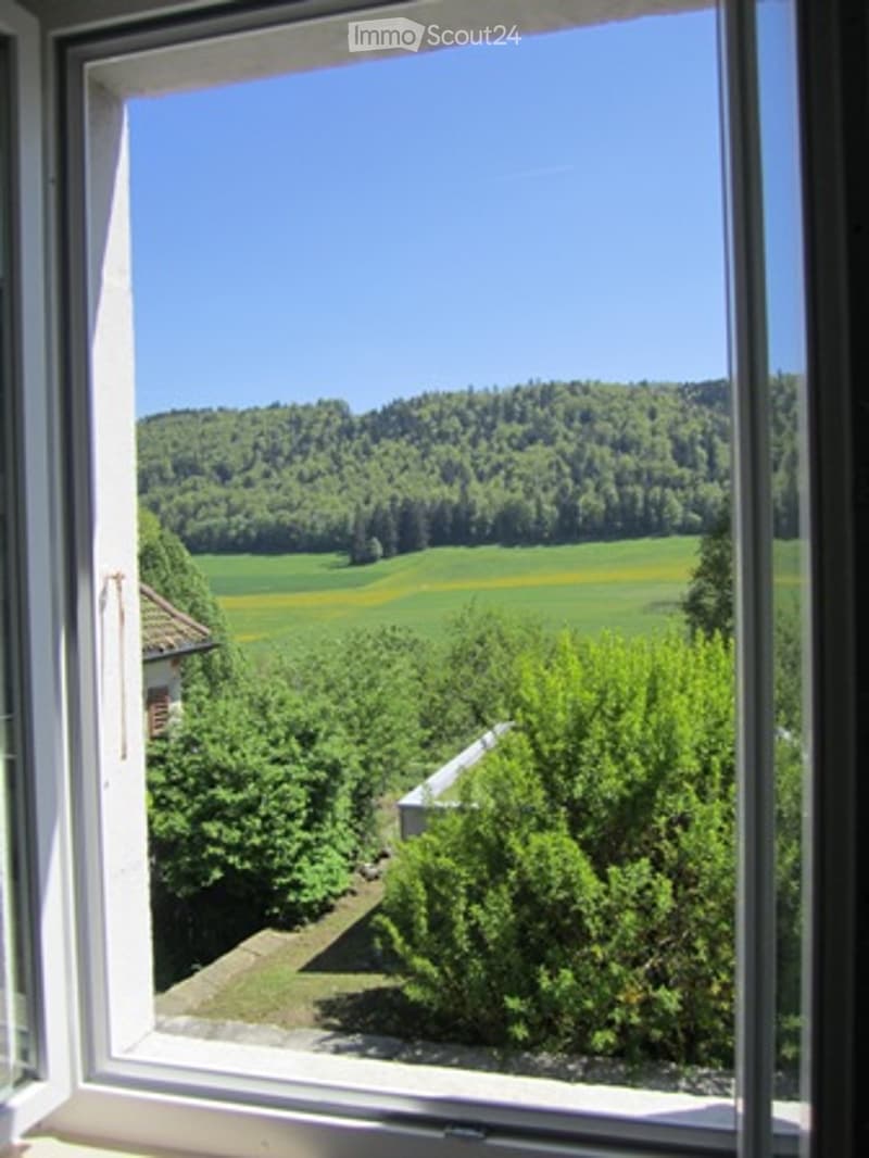 View from a window overlooking a field and mountains in the distance