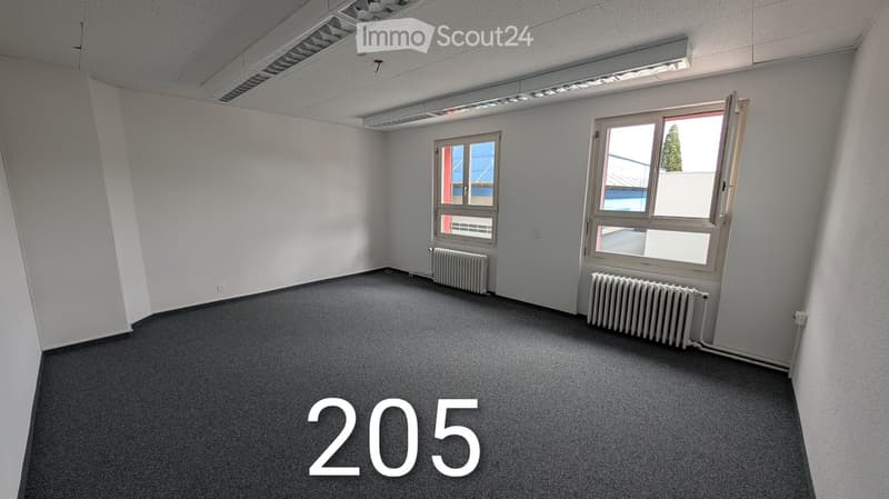 Empty room, white walls, carpeted floor, radiators, windows, lights
