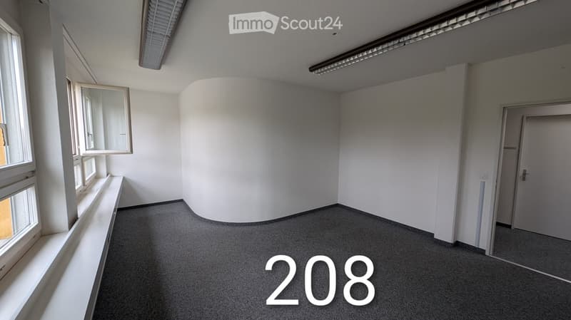 Empty room, white walls, ceiling lights, windows, door, grey carpet, view
