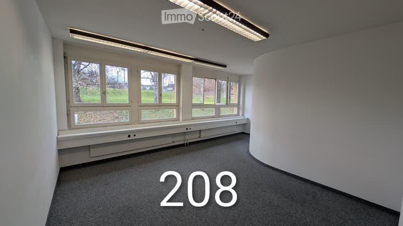 Bright room with windows, gray carpet, white walls, three lines of windows, white ceiling