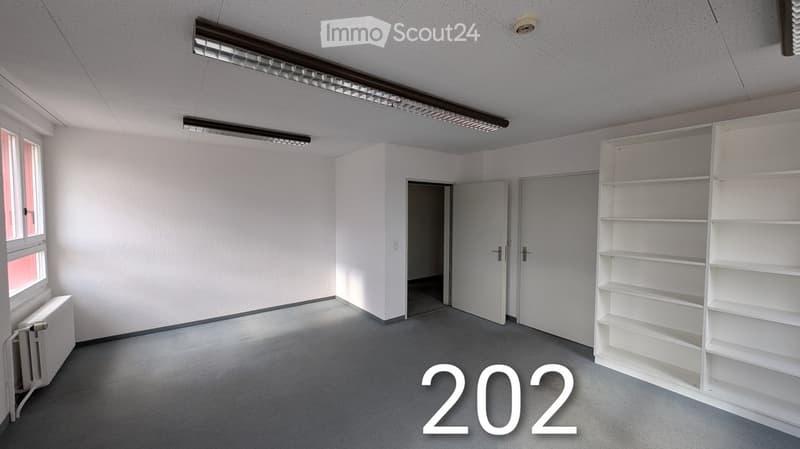 Empty room with two white doors, one white shelf, a window, and two ceiling lights