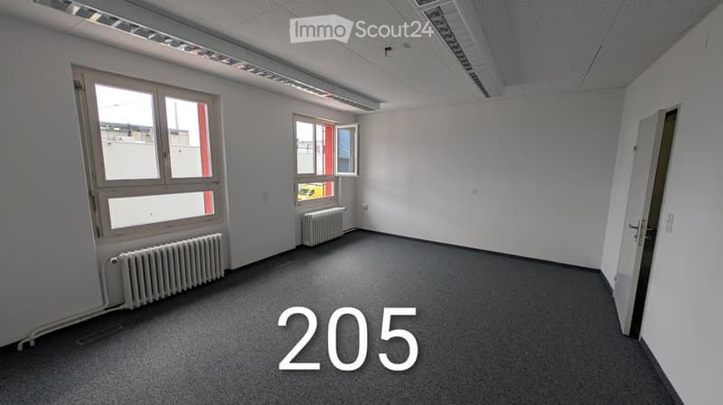 empty room, grey carpet, radiators, windows, doorway