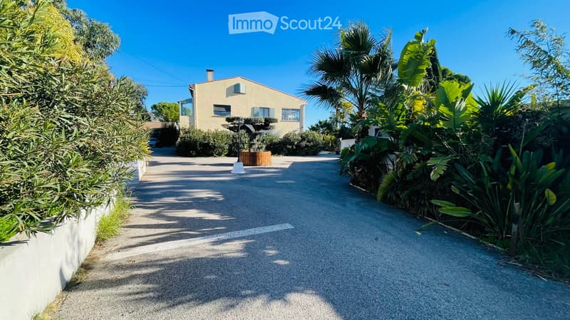 Modern house, beige exterior, glass windows, driveway, palm tree, shrubs, concrete planter, clear blue sky