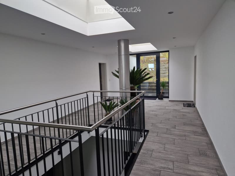 Raised ground floor, white walls, wooden floor, metal railing, plants, skylight