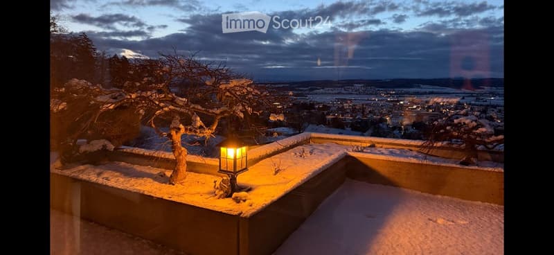 Balcony covered with snow, lamp, snow on tree, cityscape view