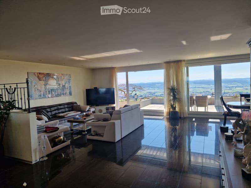 modern living room, large windows, balcony, flat screen TV, couches, coffee table, plants