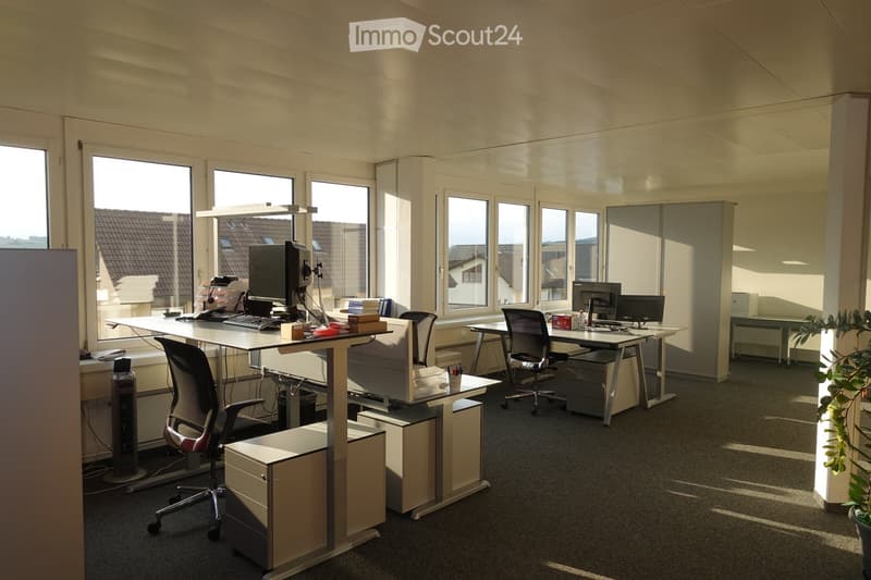Modern office setup, multiple desks, computer monitors, office chairs, cabinets, large windows, sun rays