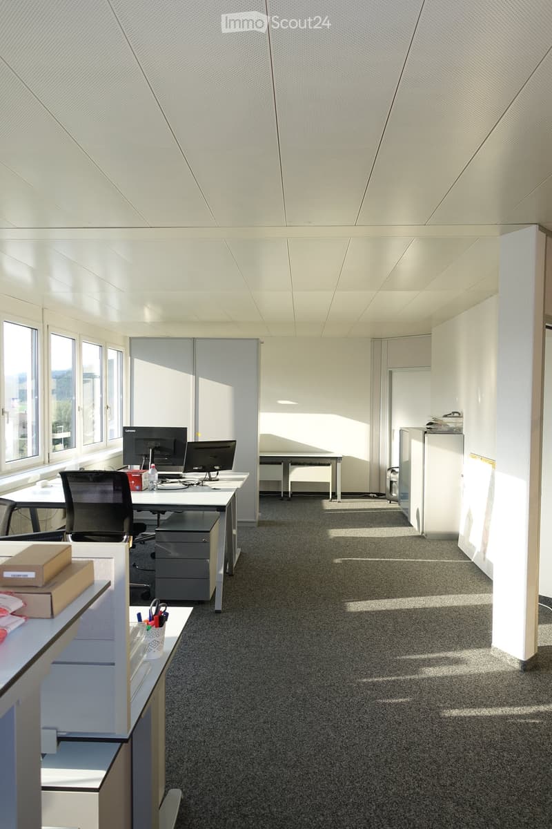 Perimeter walls, cubicles, chairs, desks, monitors, drawers, carpet, cabinets, windows, ceiling panels