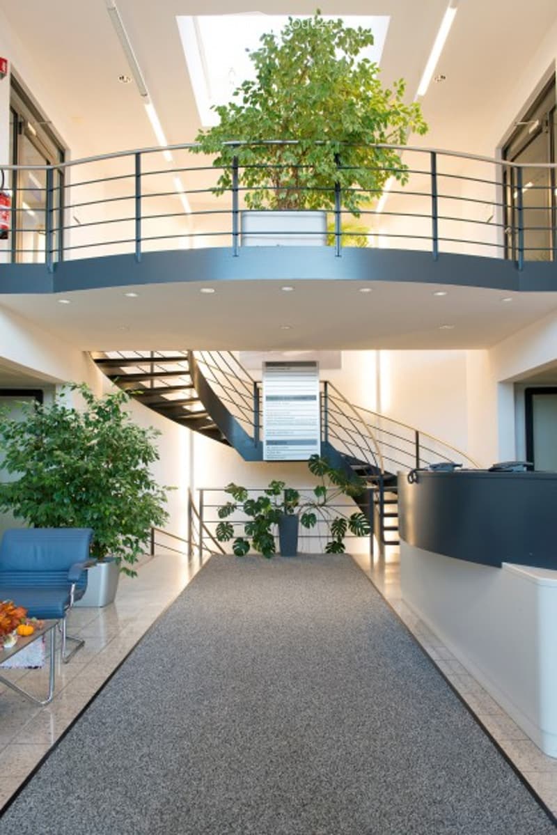 balcony, stairs, carpet, glass walls, plants