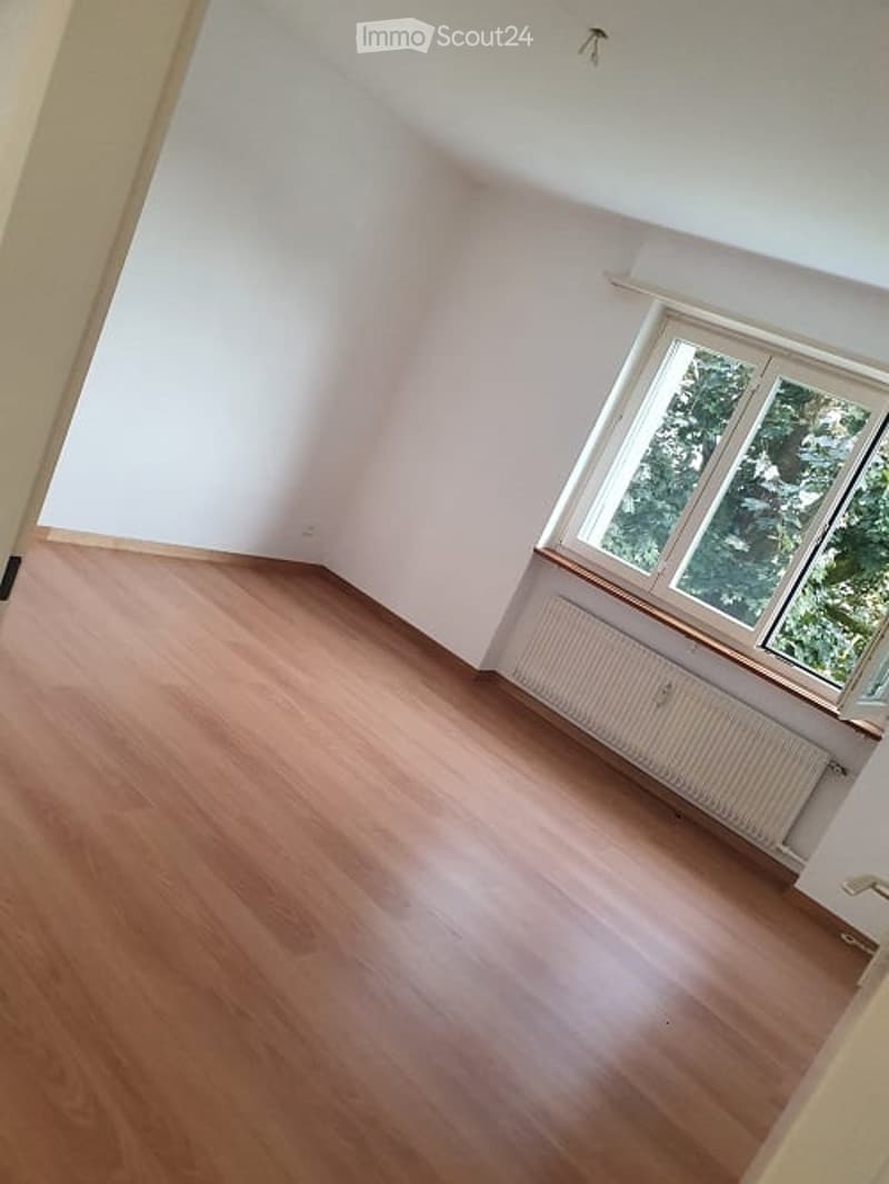 room with wooden floor, white walls, large window with view of trees, white radiator