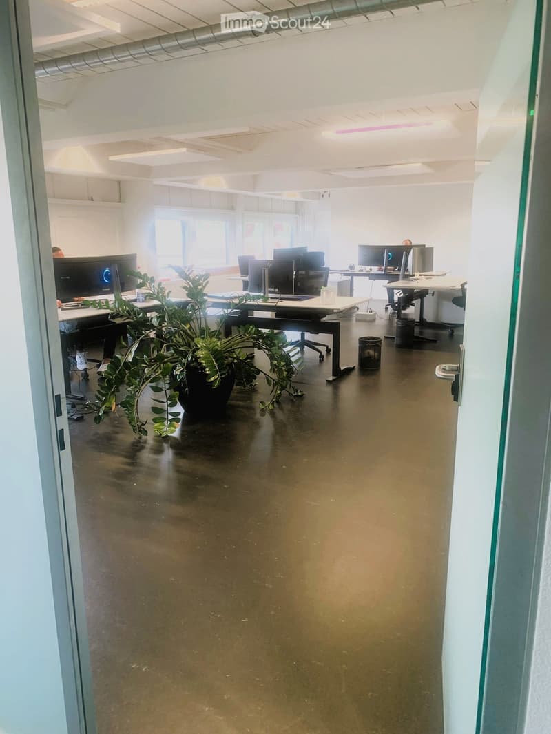 office room with large windows, multiple desks with computer screens, trash bins, plants