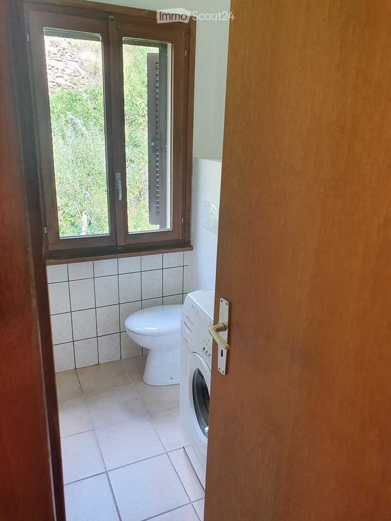 Tiled floor, white toilet, washing machine, wooden window frame, view