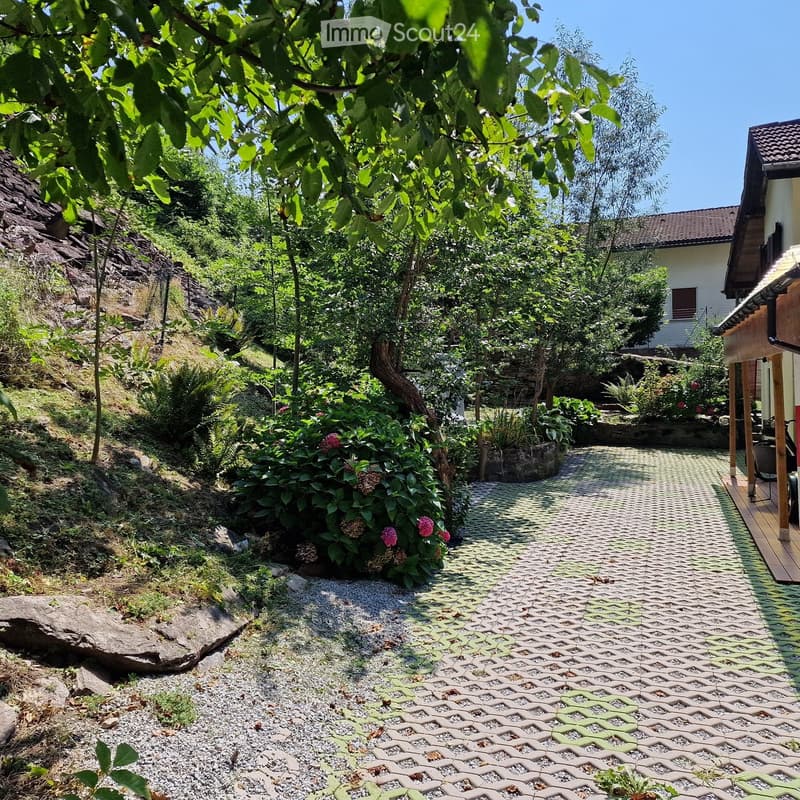 A garden with various plants, shrubs, trees, and gravel path.