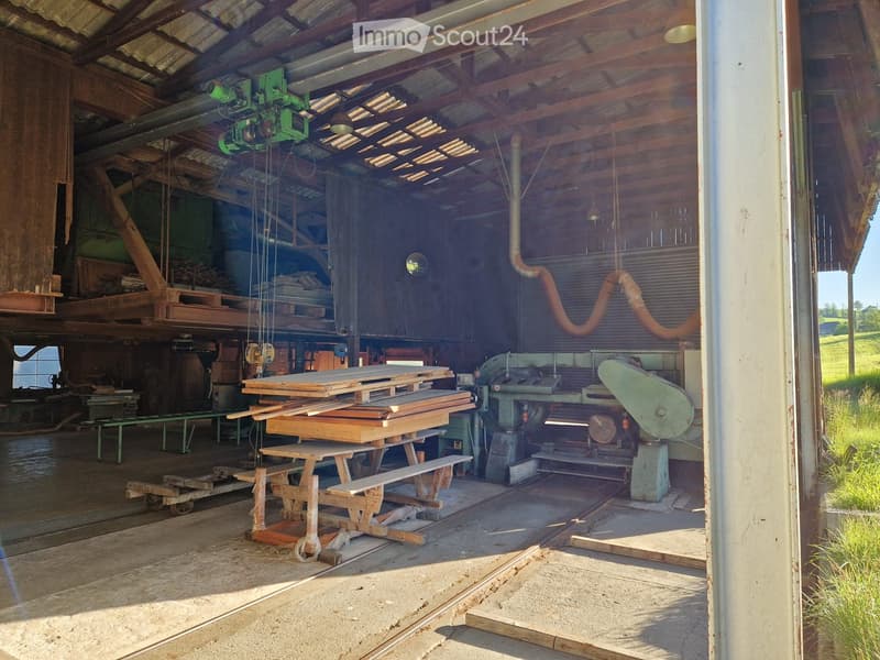 Industrial building, wooden structure, saws and tools, storage racks, open space
