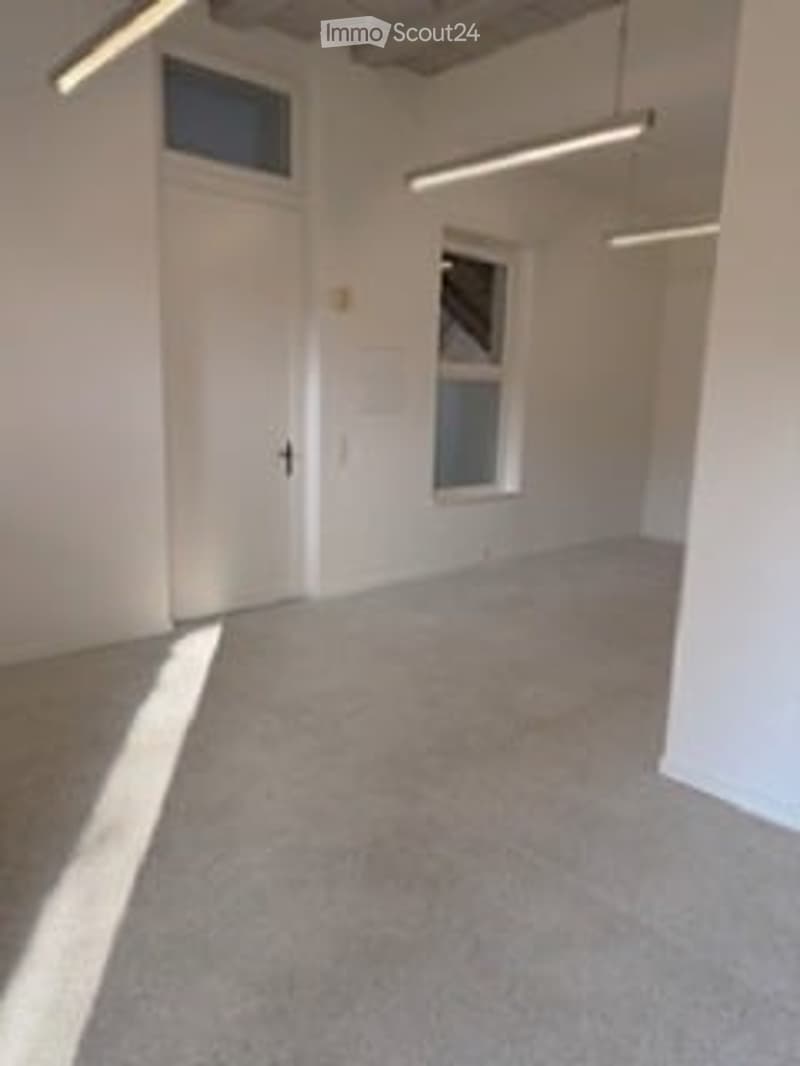 Empty room, white walls, ceiling lights, door, window, carpeted floor