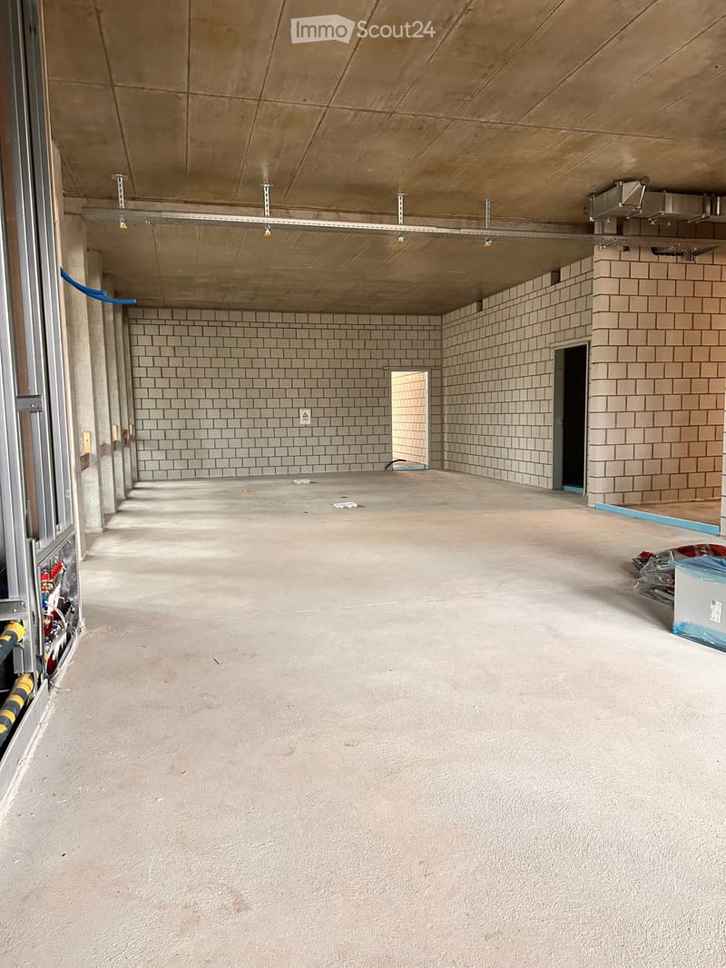 empty basement, bare brick walls, open space, suspended ceiling, concrete floor