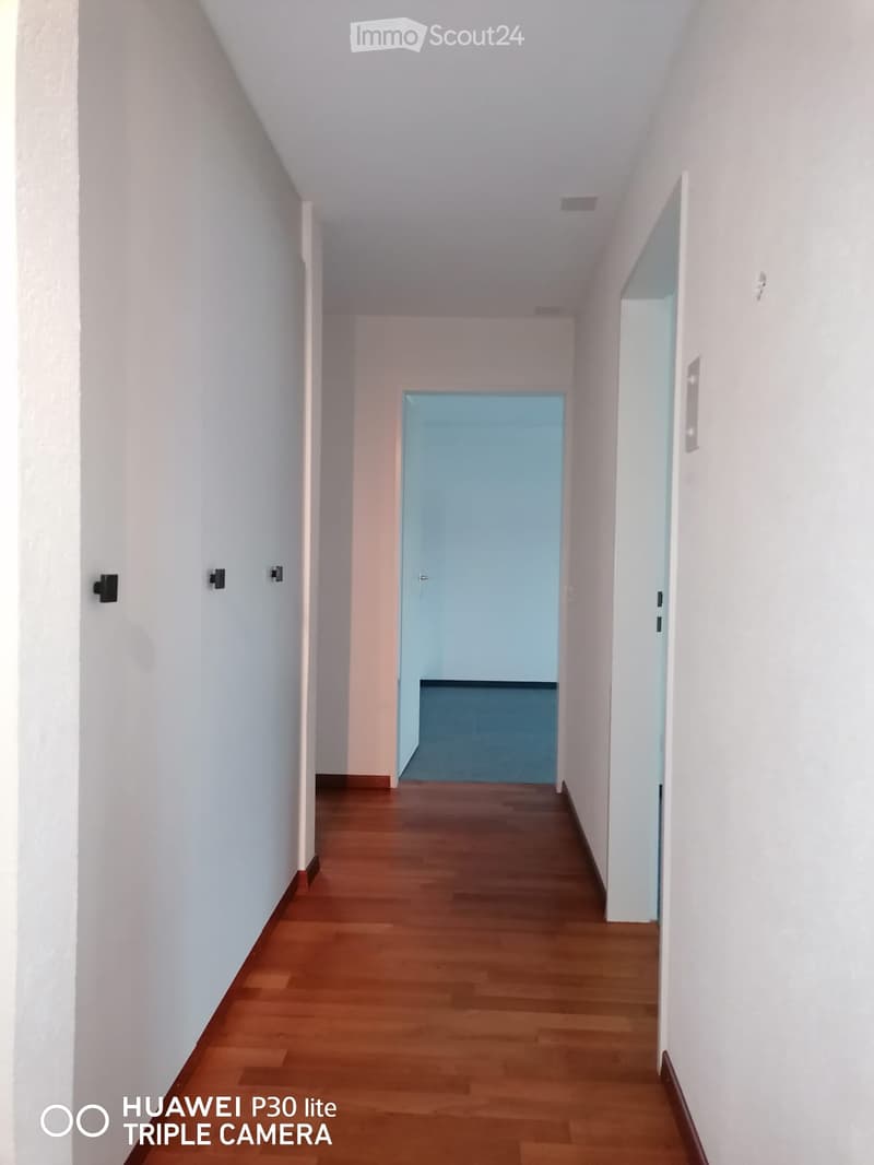 Empty hallway with wood flooring, white walls, blue carpet