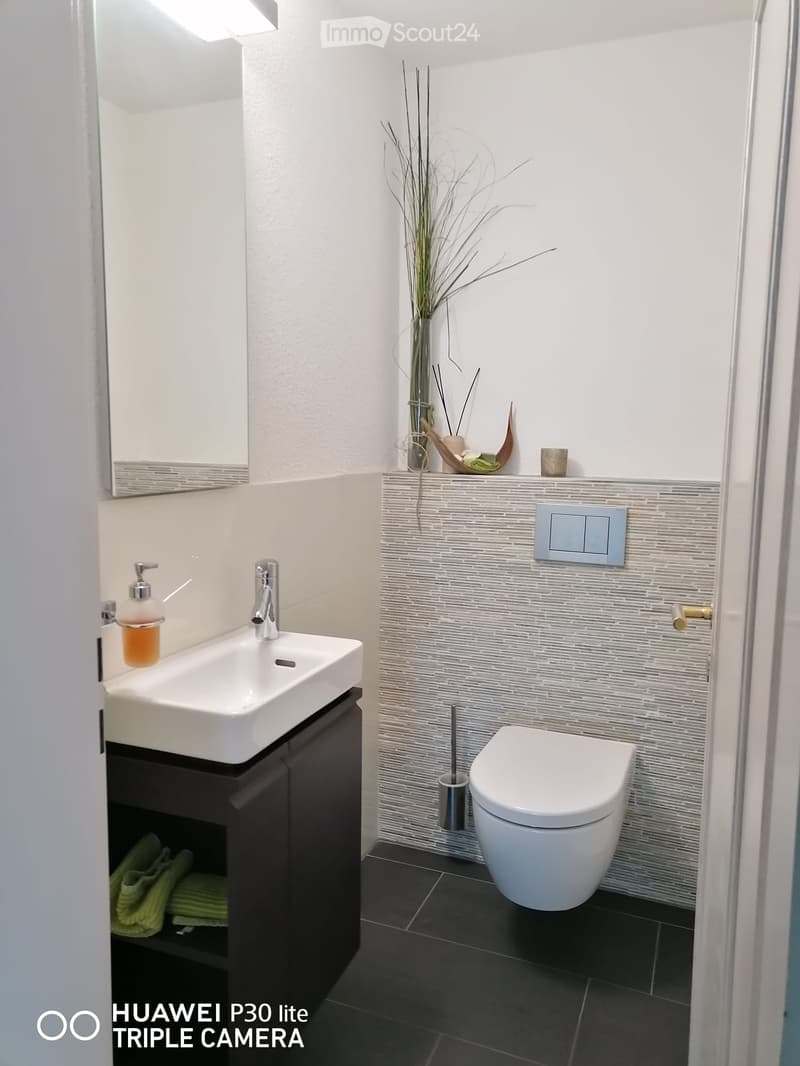 compact bathroom with sink, mirror, towel rack, toilet and a plant on a shelf