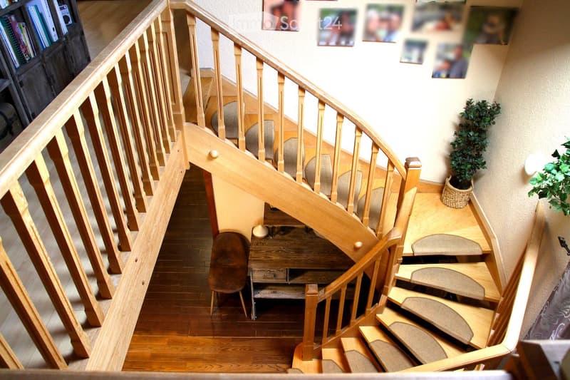 Wooden spiral staircase, carpeted steps, wooden bannister, wooden floors, plants