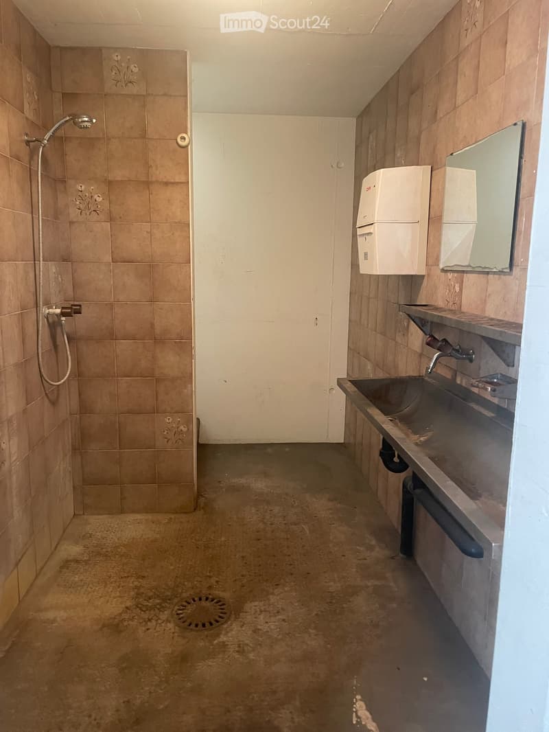 Empty bathroom with beige tiled walls, a sink with a faucet, a mirror, a shower area with a showerhead, and a toilet paper dispenser.