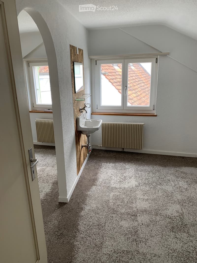empty room with sink, mirror, windows, two heaters