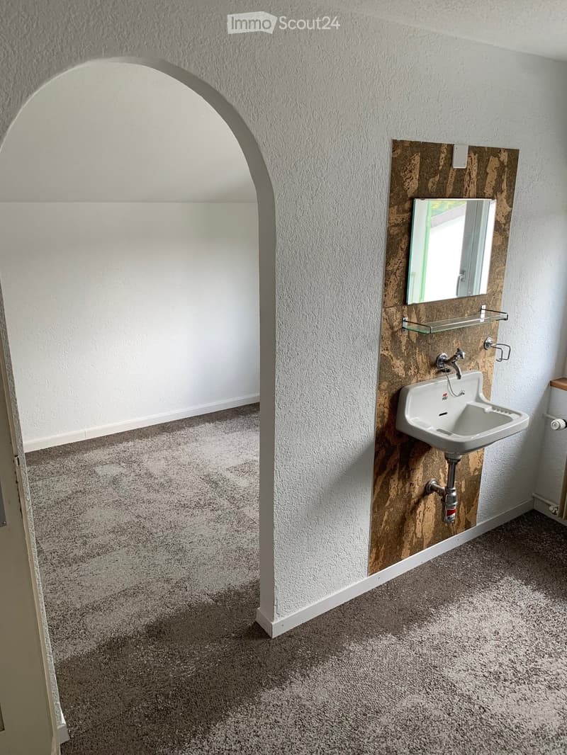 an empty room with white walls, a sink, a mirror and carpet flooring