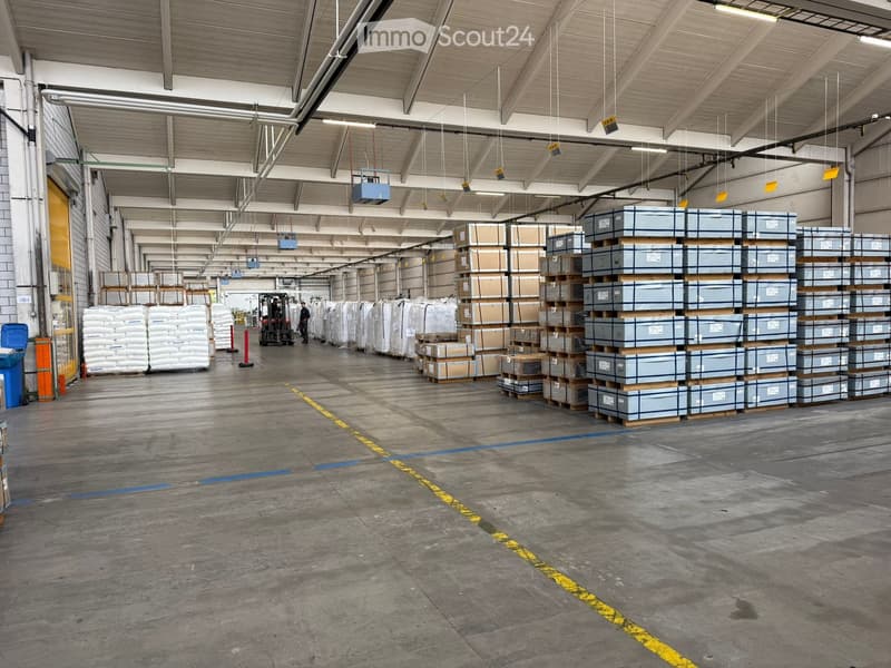 Empty warehouse with high ceilings, concrete floor, stacked pallets, forklift and worker