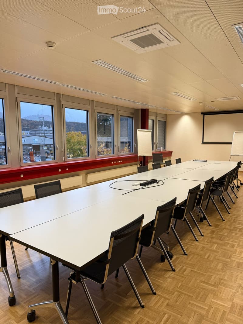 Long conference table, chairs, windows, projectors, radiators