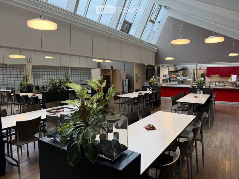 open plan dining area with multiple tables, wooden flooring, several plants, white ceiling, large windows