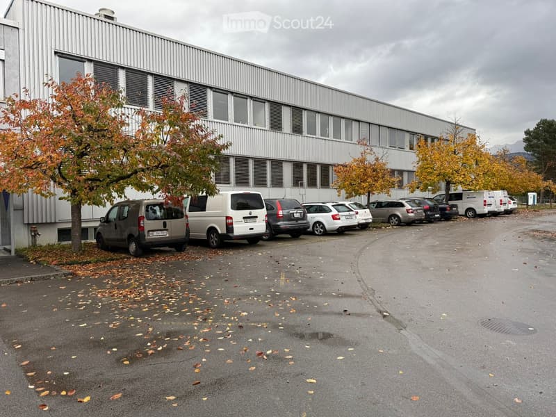 Parking area with several cars parked, metal building, fallen leaves, autumn trees