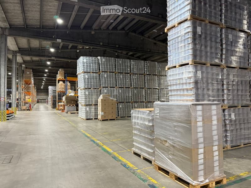 warehouse filled with various items on pallets, metal beams, fluorescent lights, yellow and green markings on floor