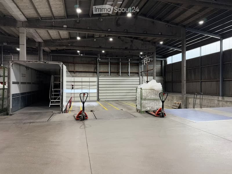 empty warehouse, large roller doors, pallet jacks, pallet cages, concrete floor, metal beams