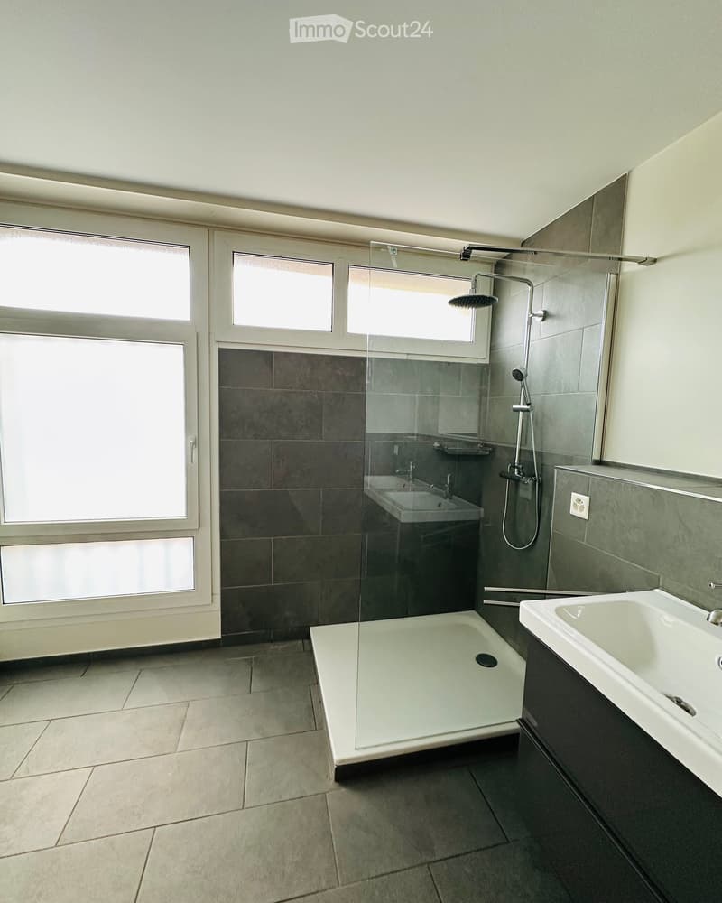 modern bathroom, shower, sink, tiles, windows