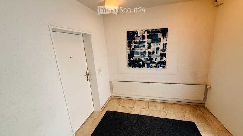 Empty room, white walls, hardwood floor, closed door, painting, radiator, black rug