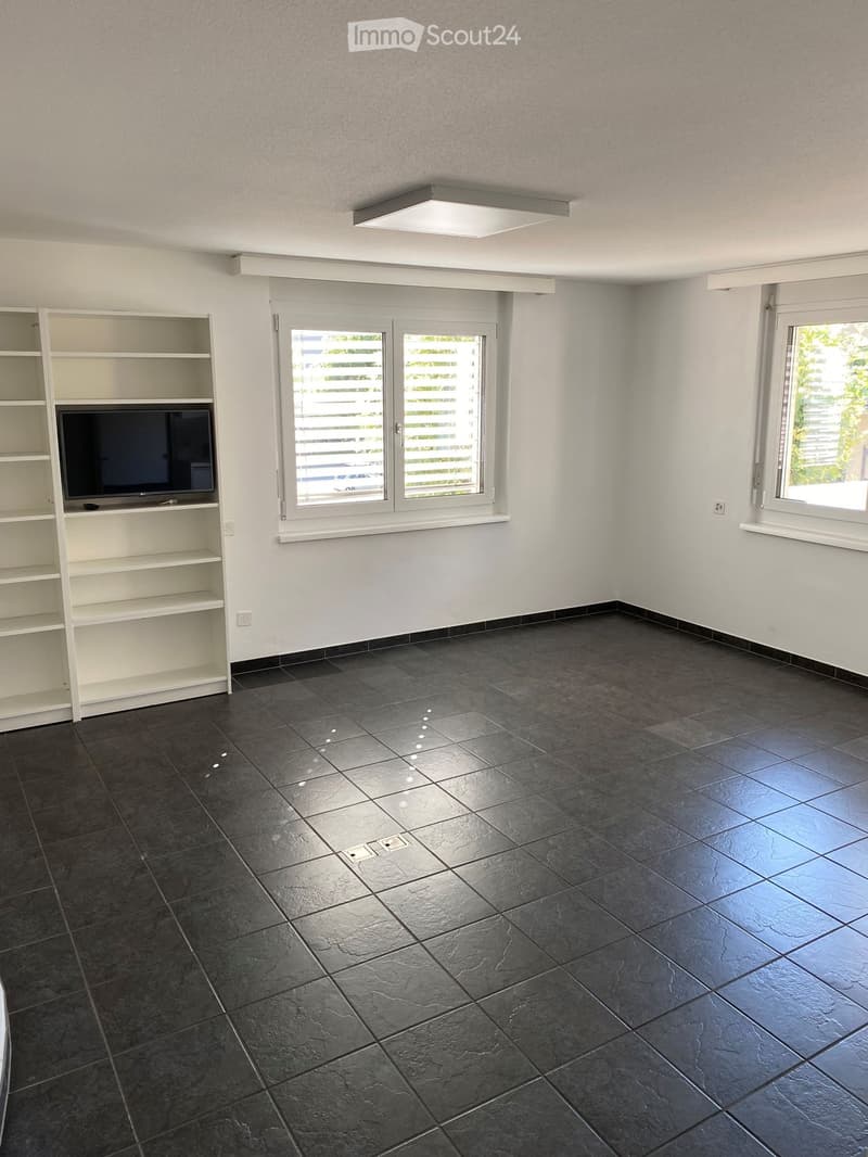 Empty room, tiled floor, two windows with white shutters, built-in TV on shelf, ceiling light.