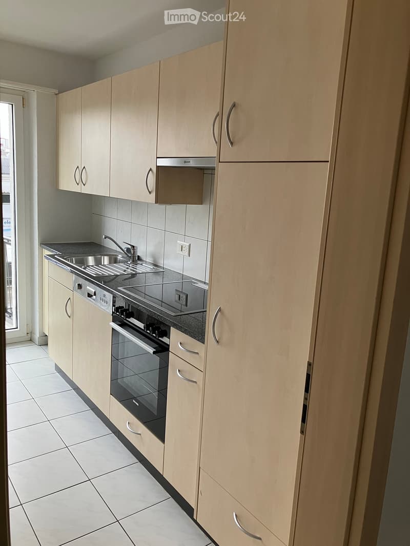 Appartement 3 pièces abordable avec terrasse ensoleillée le soir (2)