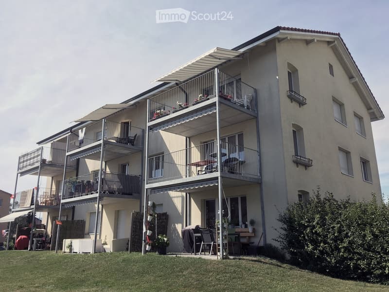 Appartement 3 pièces abordable avec terrasse ensoleillée le soir (11)