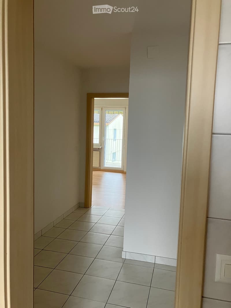 Appartement 3 pièces abordable avec terrasse ensoleillée le soir (6)