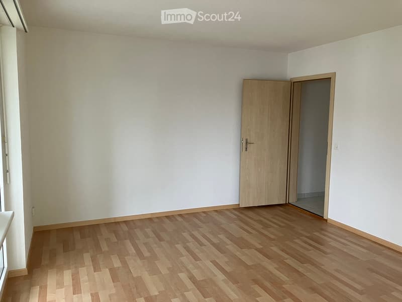 Appartement 3 pièces abordable avec terrasse ensoleillée le soir (8)