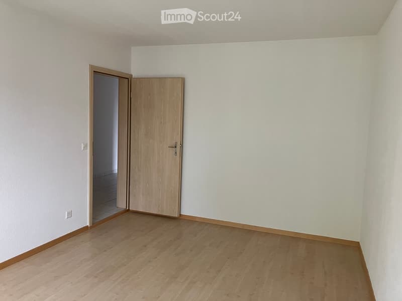 Appartement 3 pièces abordable avec terrasse ensoleillée le soir (9)